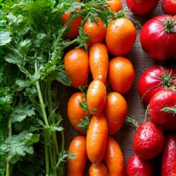 A vibrant, artfully arranged display of freshly harvested seasonal Japanese vegetables, including leafy greens and root vegetables.